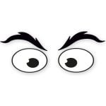 Opvallende Oogstickers voor Robotstofzuigers en Robotmaaiers (13 x 5 cm)